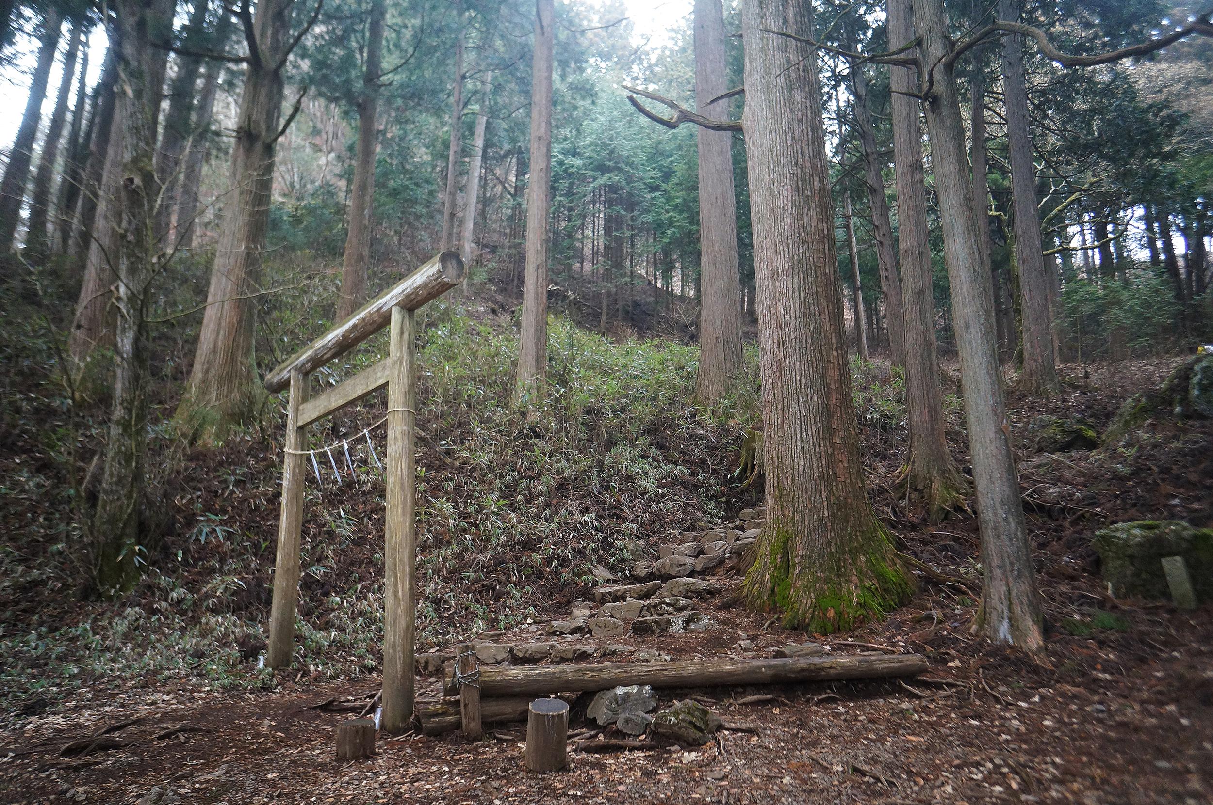 torii up the hill